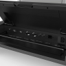 Интерактивная трибуна Wize Pro WSP-22SL